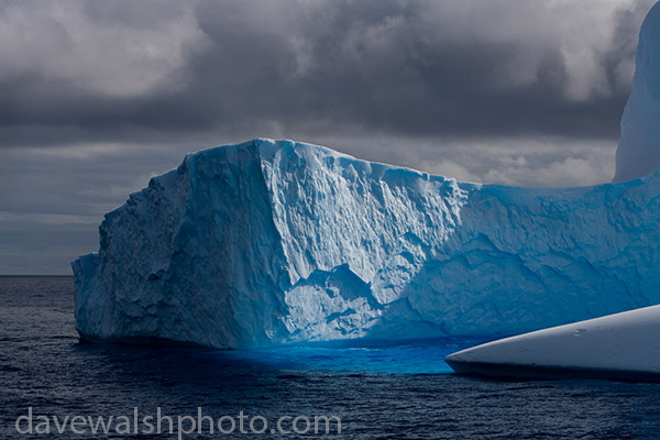 Iceberg, Antarctica, (c) Dave Walsh