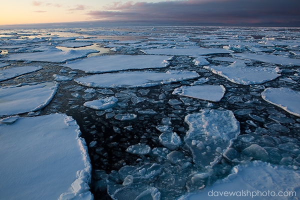 Pancake ice on Arctic Sea Ice