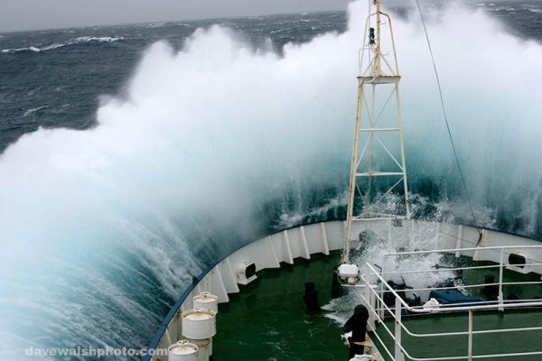 Greenpeace ship Esperanza on her route towards Antarctica in a Force 10 storm.
